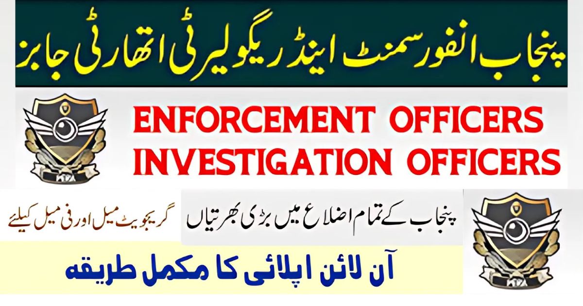 519+ Punjab Enforcement and Regulatory Authority Jobs