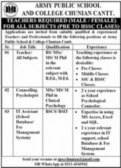 Army Public School and College Chunian Cantt Jobs