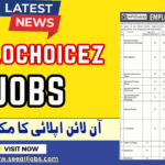 Solochoicez Solo choicez Jobs Advertisement 2026 February