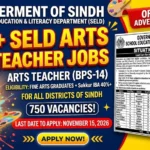 SELD Art Teacher Jobs October 2026